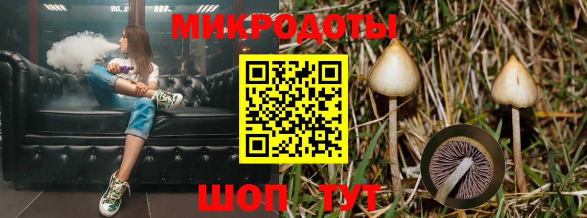 Коркино  Псилоцибиновые грибы ЛСД  Псилоцибиновые грибы Magic Shrooms  Вход с VPN 